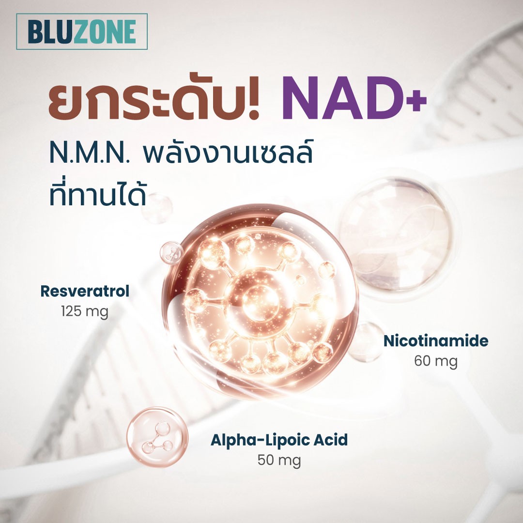 ข้อมูล NMN, NAD+ และส่วนประกอบสำคัญของสูตร